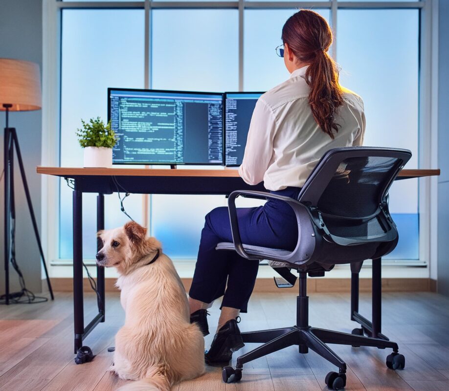 donna al computer in ufficio con un cane donna al computer in ufficio con un cane