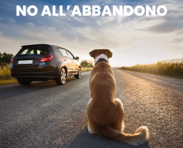 NO_ABBANDONO_blog