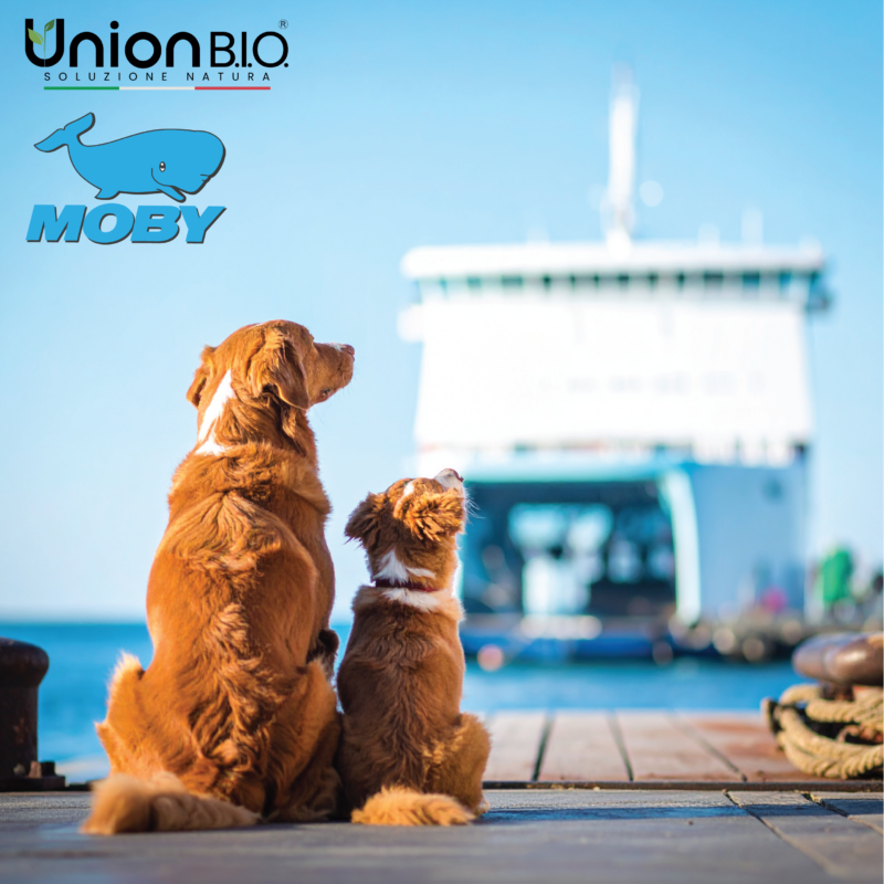 Grafica_copertina_blog_UB_quadrato_ok