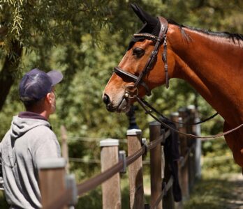 499883745_18369166210132984_5284686147542879334_n